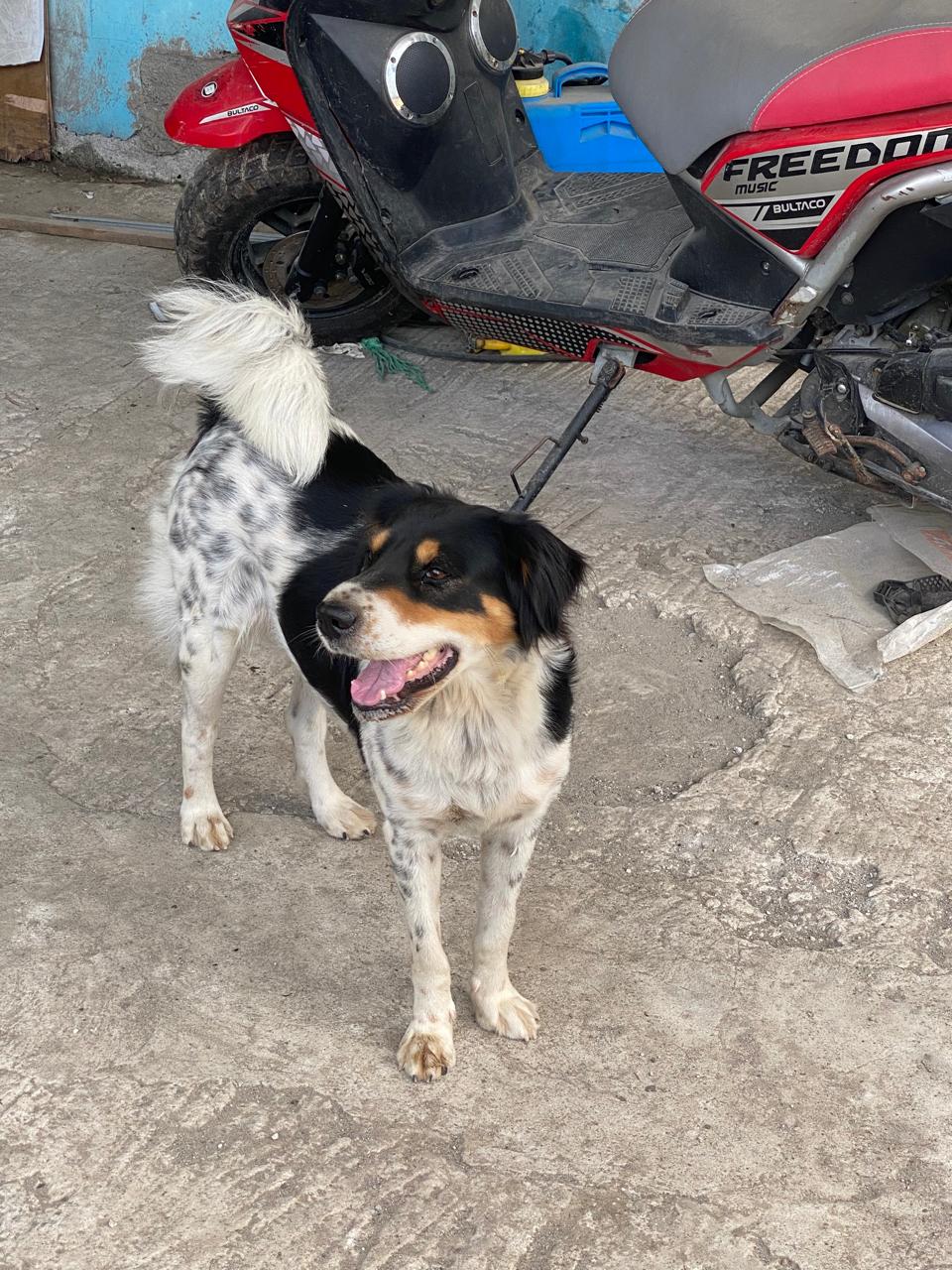 Adopción de Niña en Ecuador